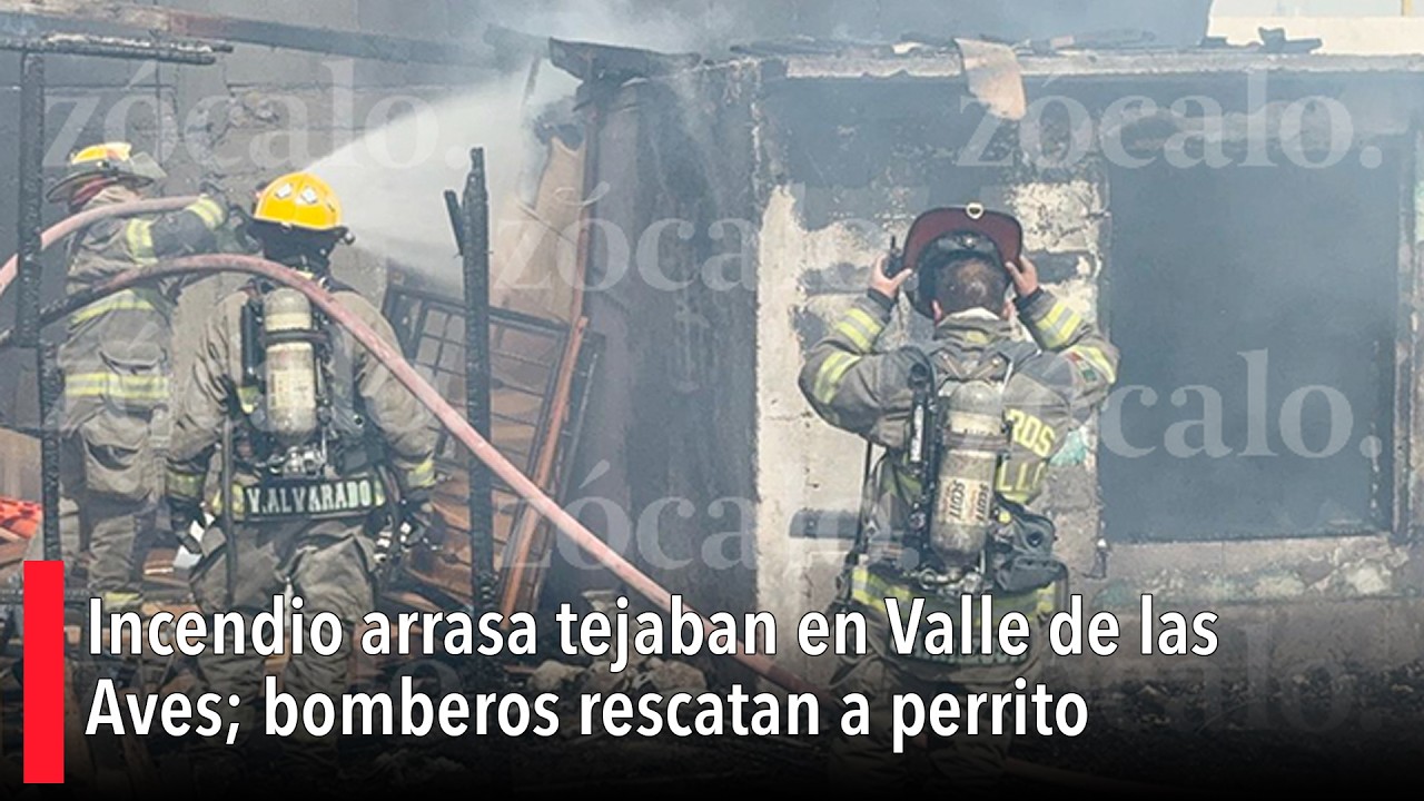 Incendio arrasa tejaban en Valle de las Aves; bomberos rescatan a perrito