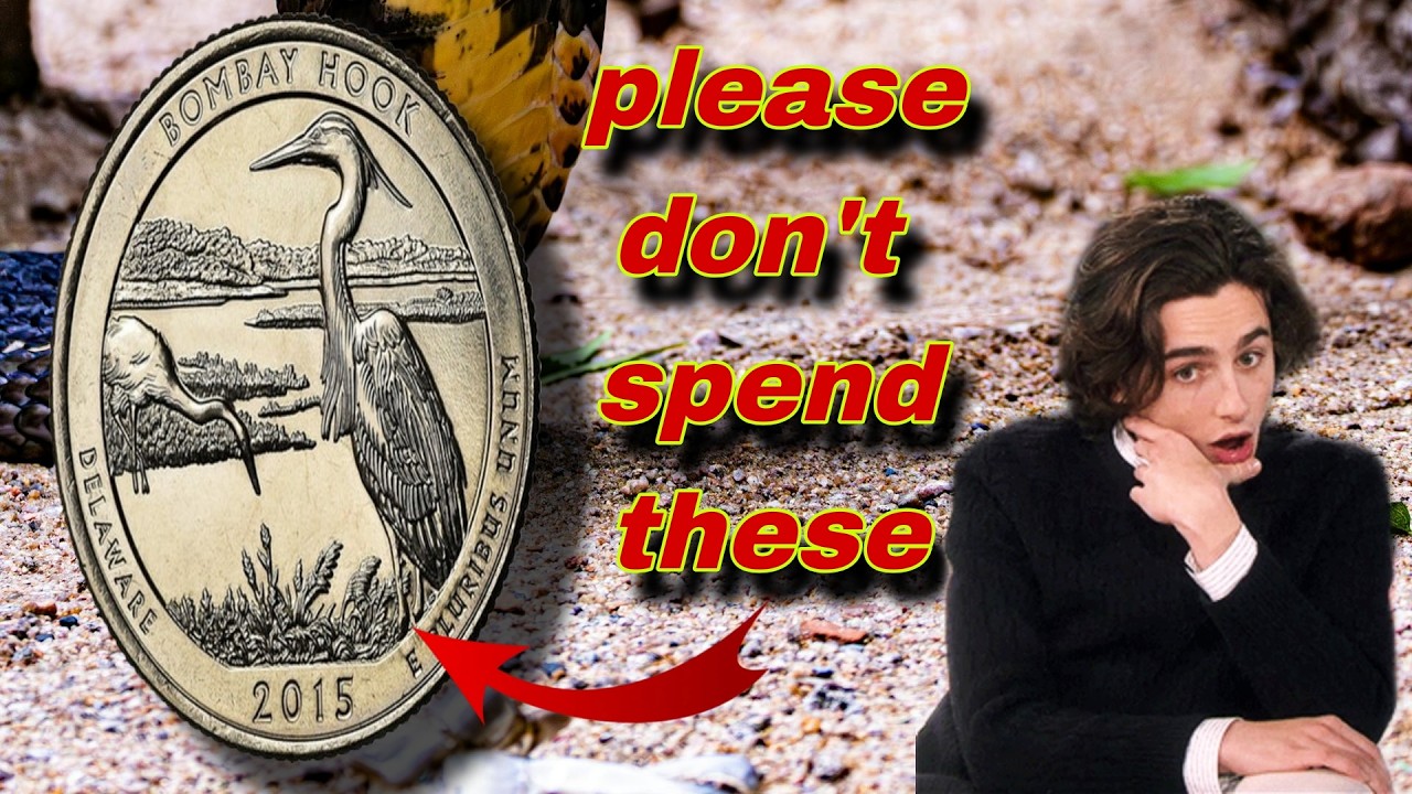 The Mystery of the 2015 Bombay Hook Quarter: Why This Coin's Value Is Skyrocketing
