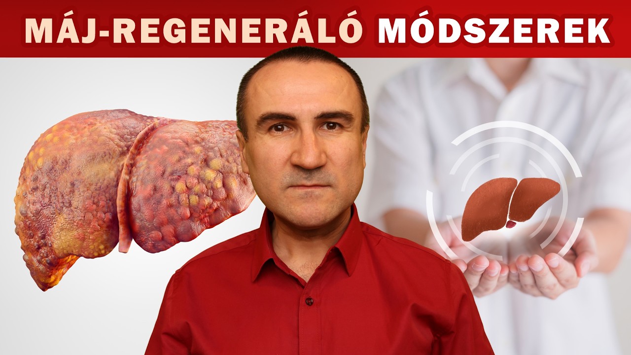 Módszerek, ételek a Máj regenerálásához