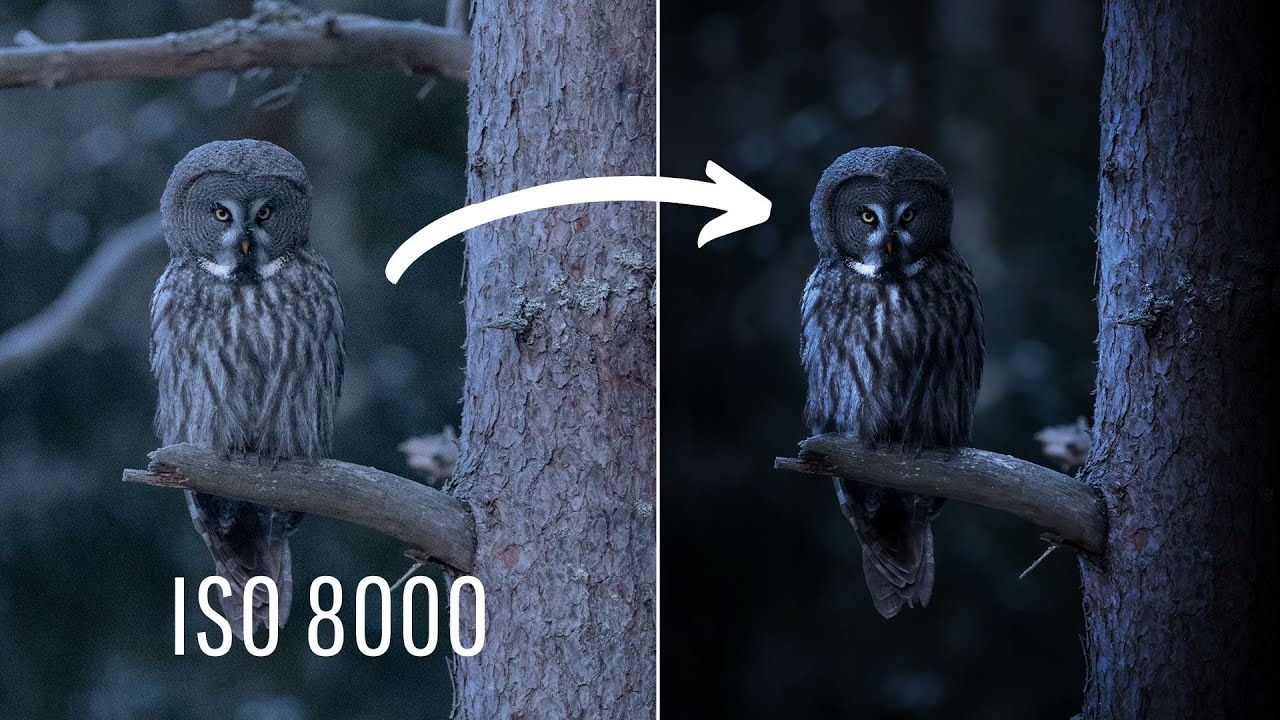 How I edited THIS photo using Photoshop -  Step by Step Tutorial