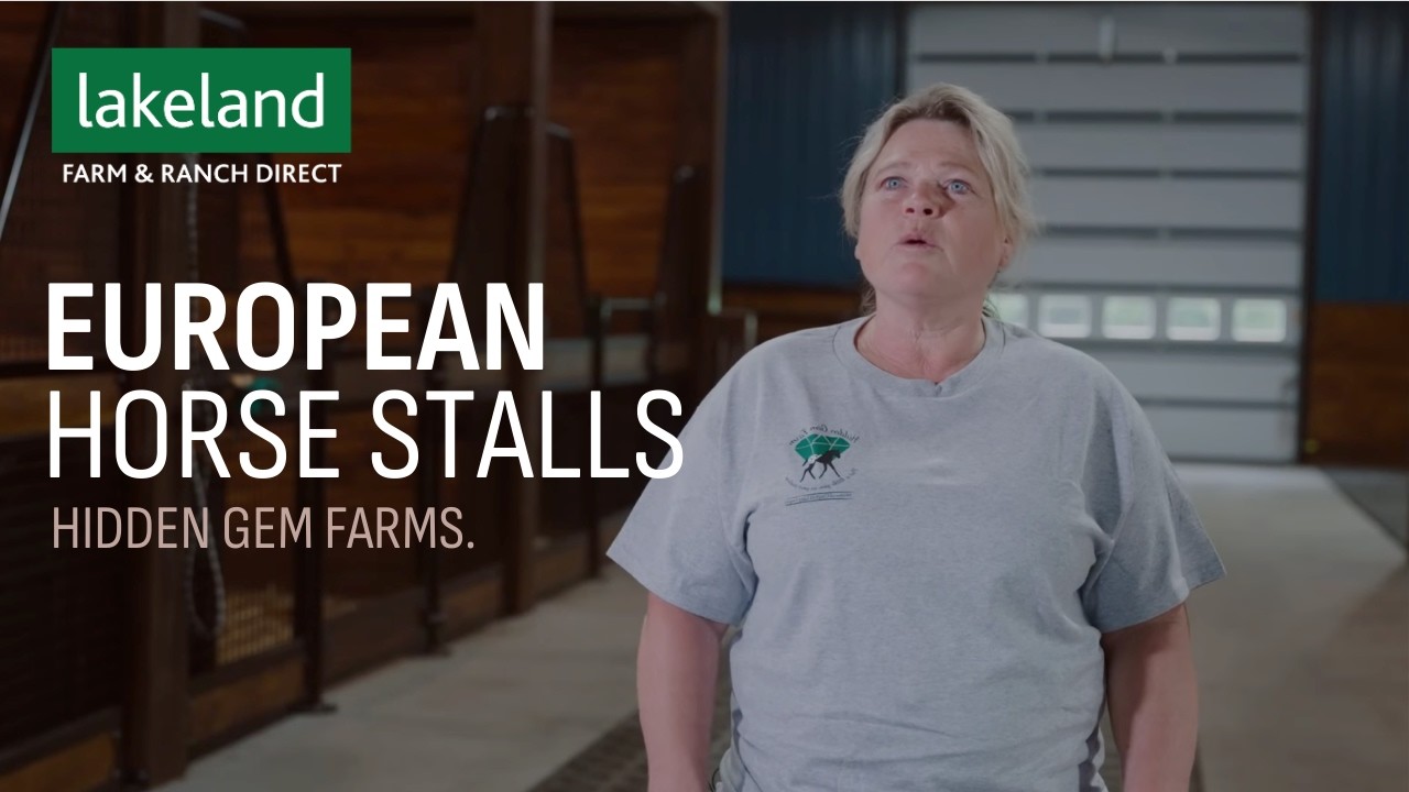 Luxury Meets the Barn | See Why Lakeland's European Horse Stalls Turn Heads