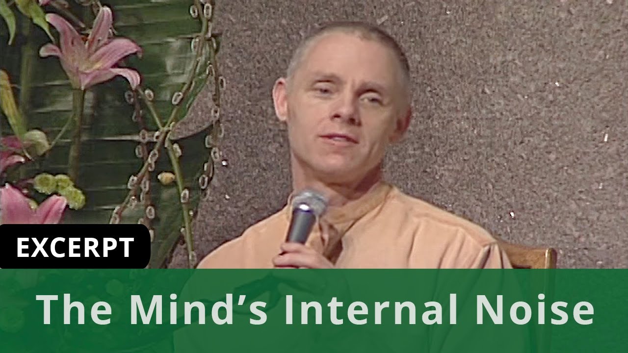 The Mind's Internal Noise (Excerpt)