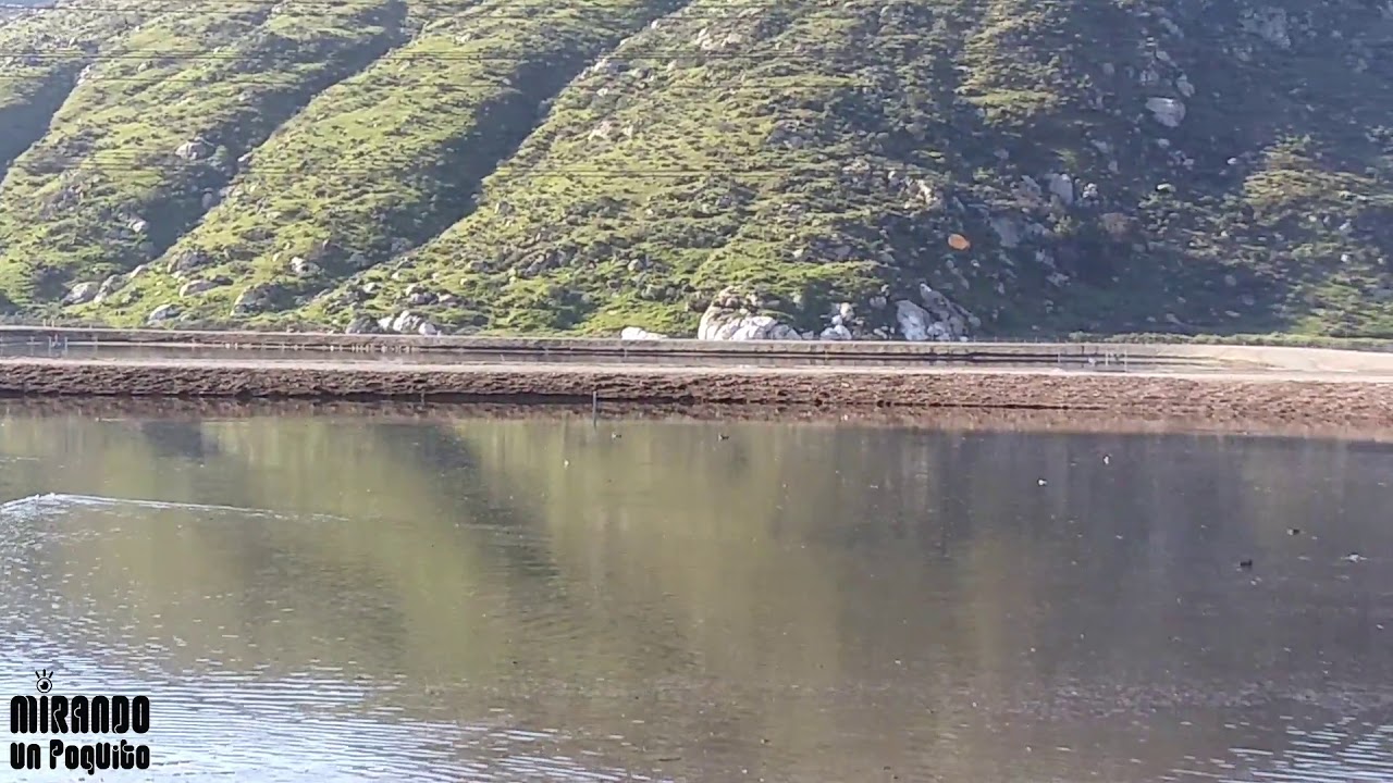 Mirando un poquito el lago