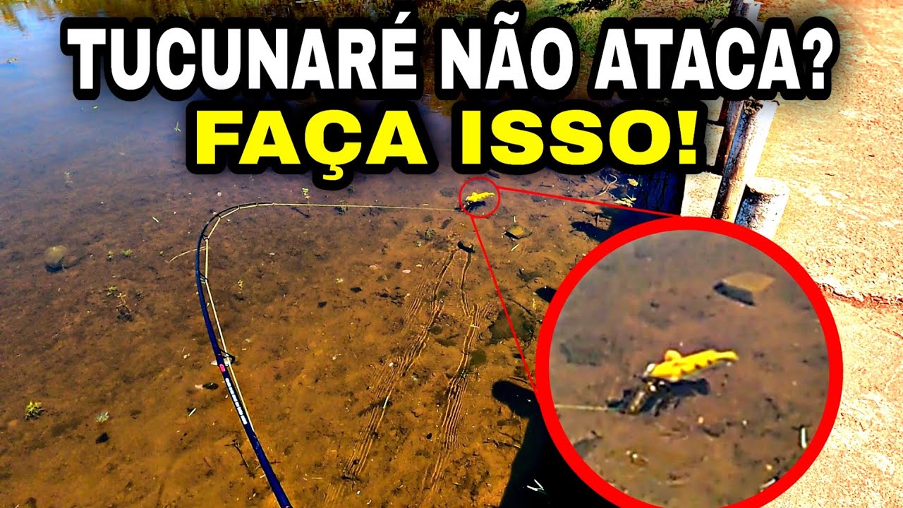 Oque fazer quando o TUCUNARÉ não quer atacar a isca artificial?