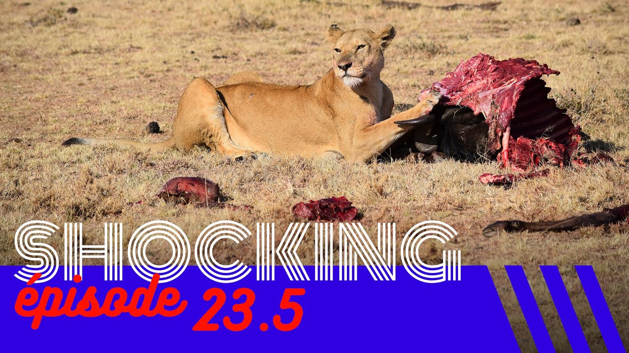 Yoga, super-pouvoirs et secte sexuelle 5/6, avec Geoffrey L'anonyme — SHOCKING #23