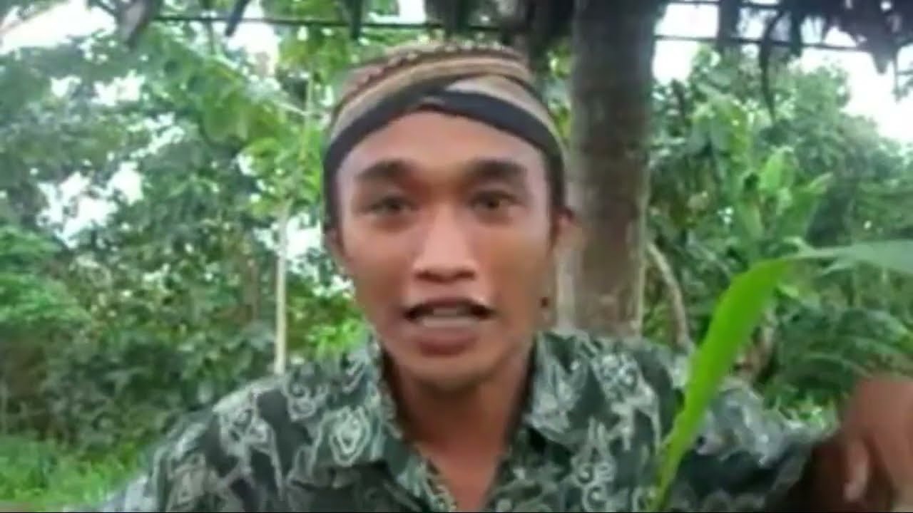 Jogja Istimewa