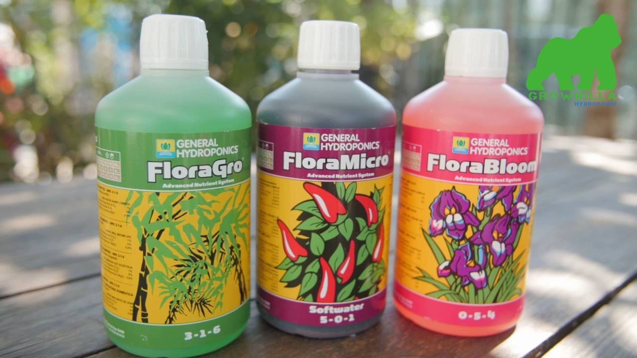 Come preparare la soluzione nutritiva per coltivare in  idroponica, Ec e pH. General Hydroponics