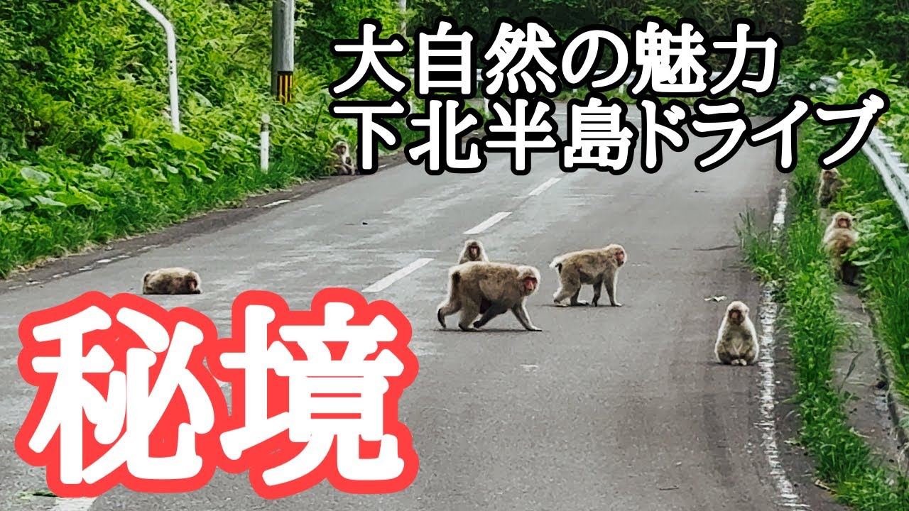 【秘境】下北半島一周ドライブ　ありのままの大自然に癒される