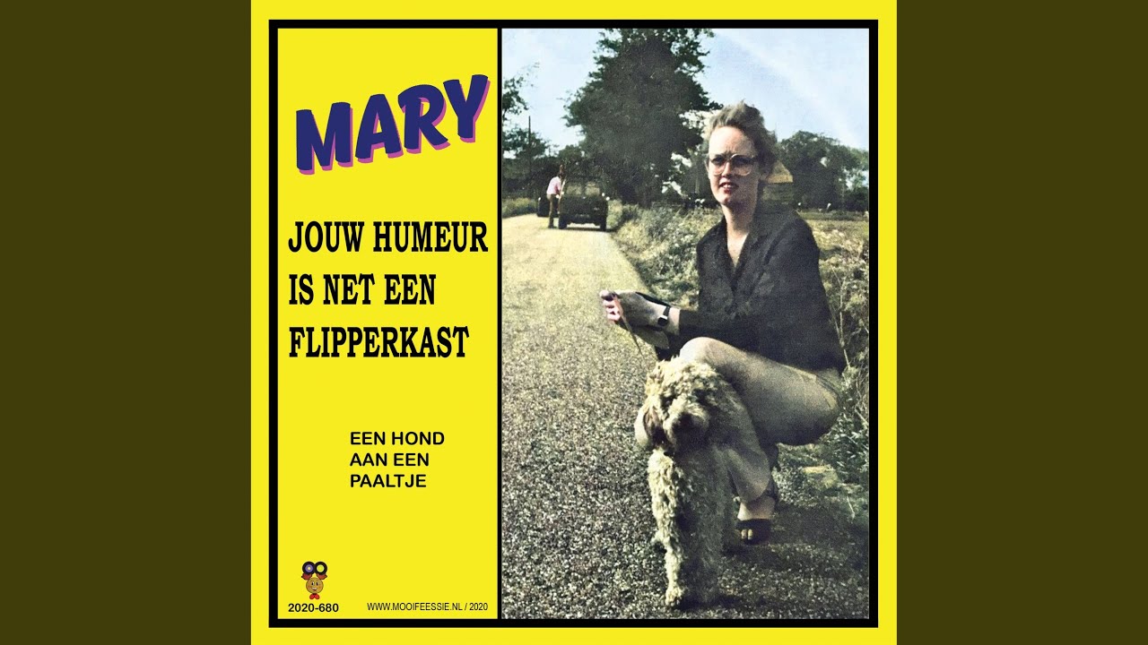 Jouw Humeur Is Net een Flipperkast