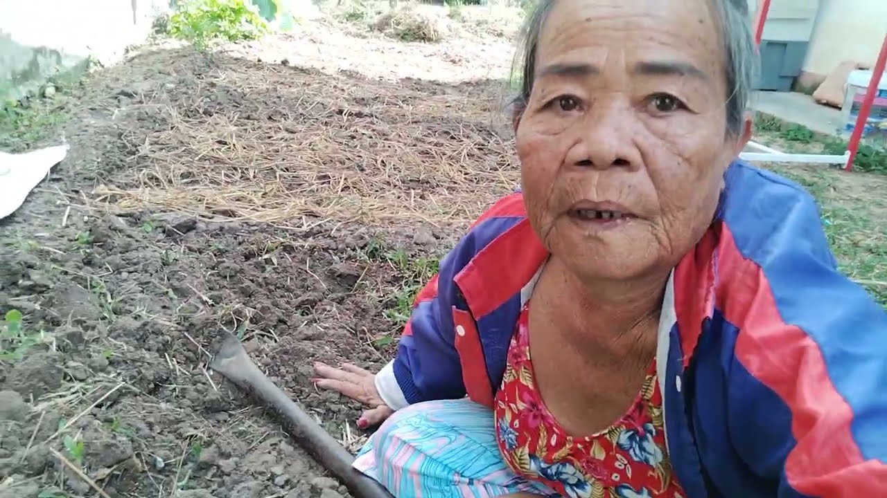 19 กุมภาพันธ์ ค.ศ. 2026