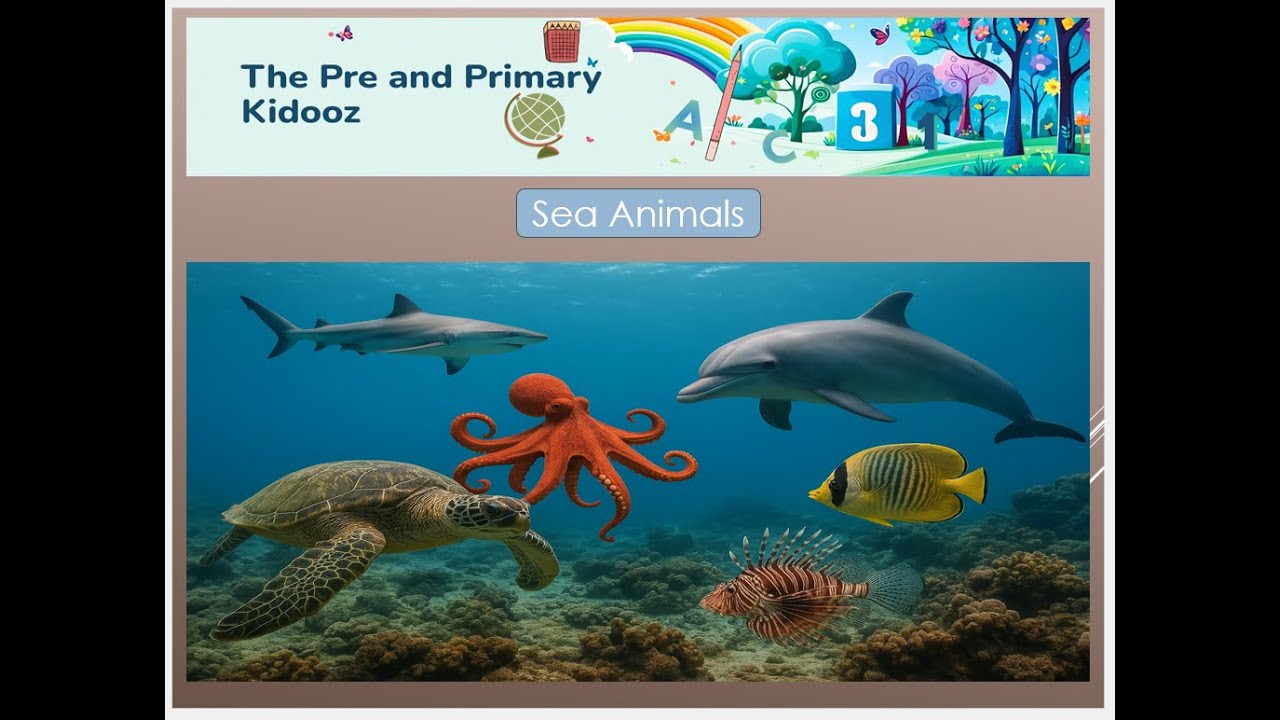 🌊 Learn about Sea Animals! 🐋🐠🐙In this fun and educational video by The Pre & Primary Kidooz,