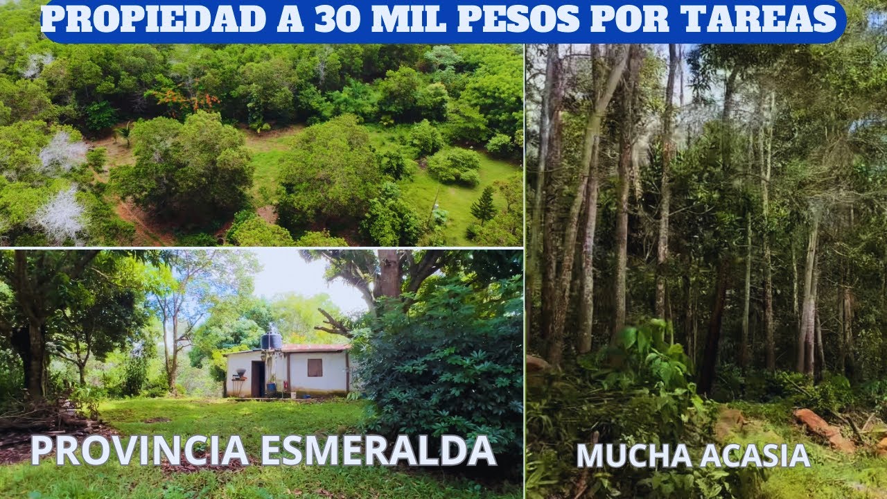 Terreno de 887 tareas excelente para invertir