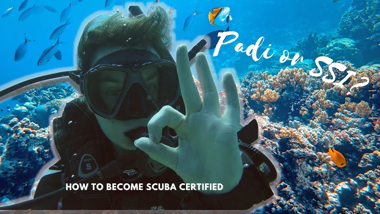 How to become SCUBA diving certified - Open Water: PADI vs SSI?