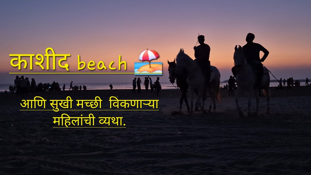 काशीद beach 🏖️   सुखी मच्छी विकणाऱ्या महिला करतात  इथे दिवसभर मेहनत #dryfishrecipe #फिशिंग 