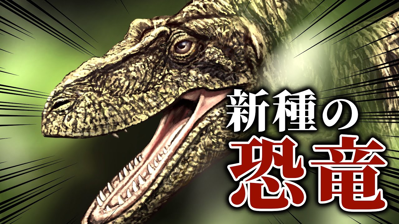 新たなティラノサウルス類！？新種の恐竜「カンクウルウ」とは①