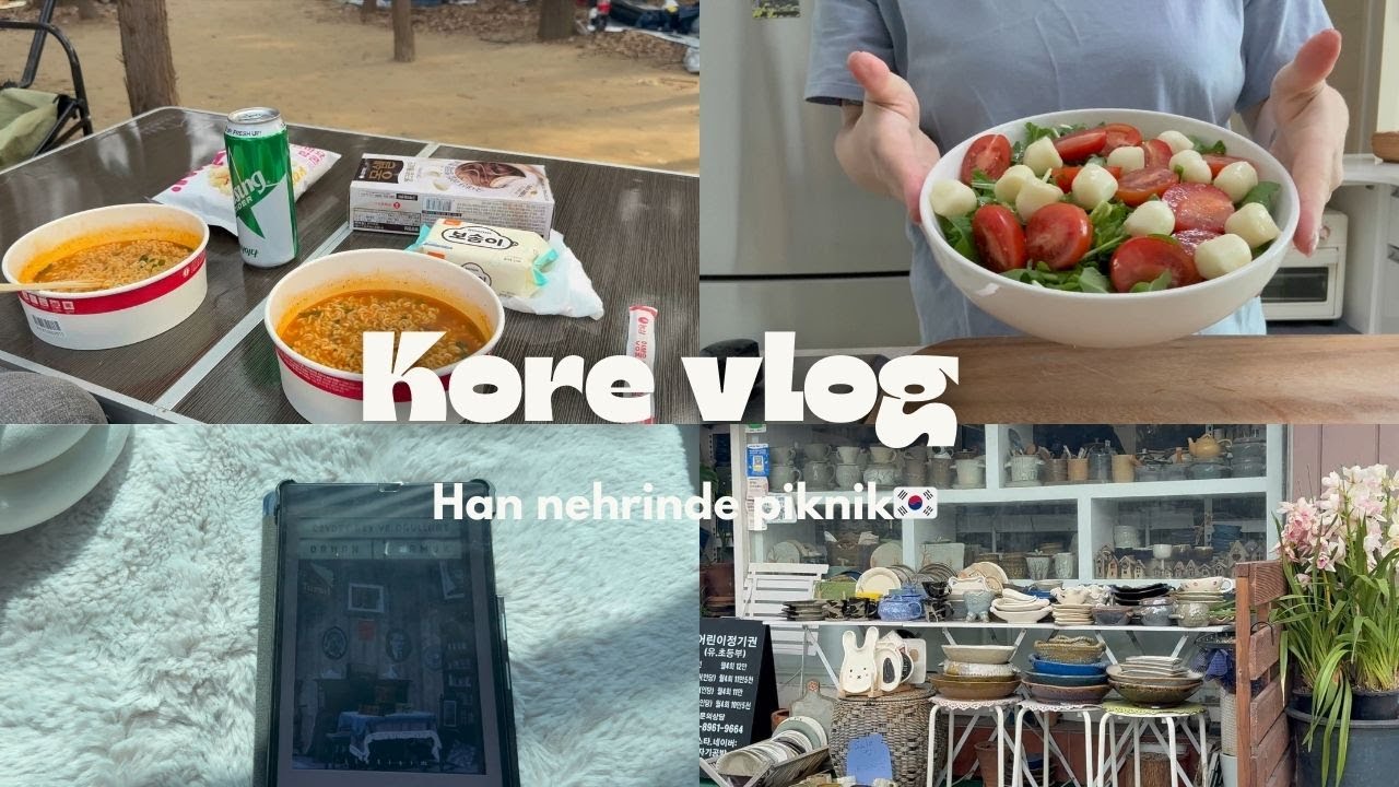 🇰🇷🇹🇷Koredeki yaşamım |Han nehrinde huzurlu bir piknik&Evde sıcak bir gün