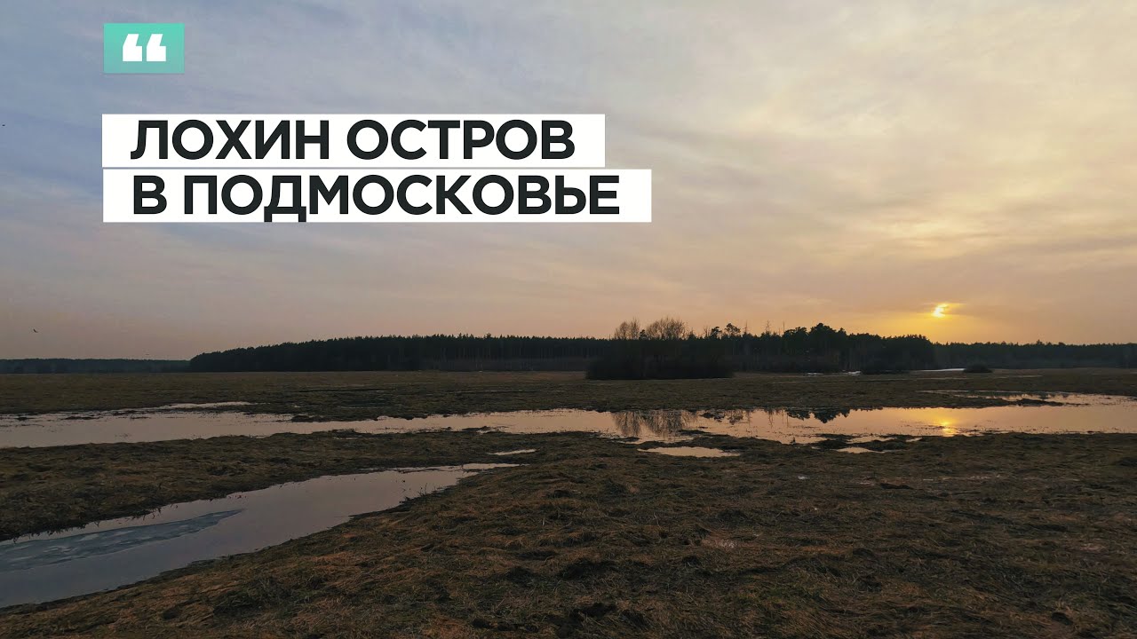 ЛОХИН ОСТРОВ &mdash; увидели озеро Глухая Яма, нашли необычные деревья и чьё-то укрытие