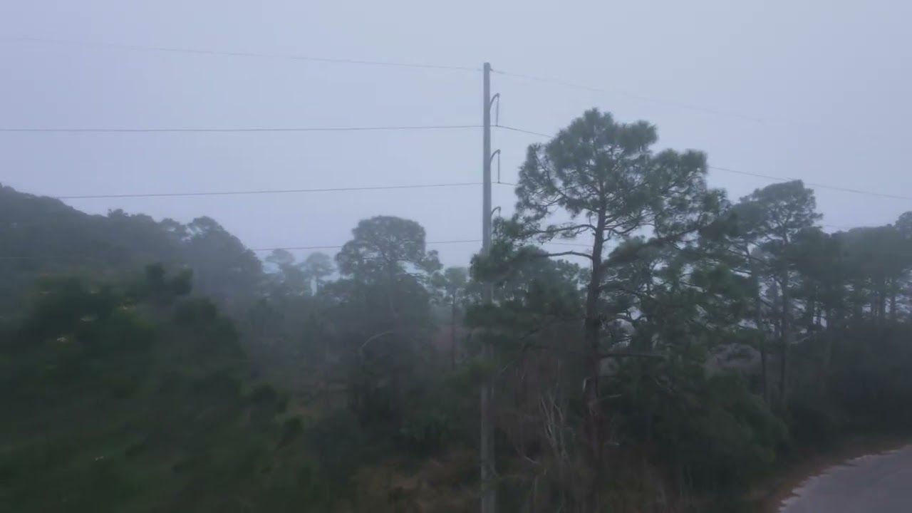Foggy Day Ride