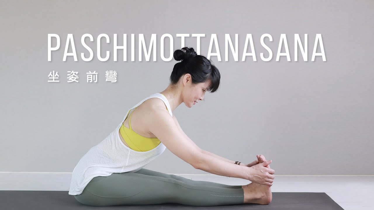 如何練習坐姿前彎｜舒緩腰痠背痛  — YOGA JOURNEY 瑜珈旅程