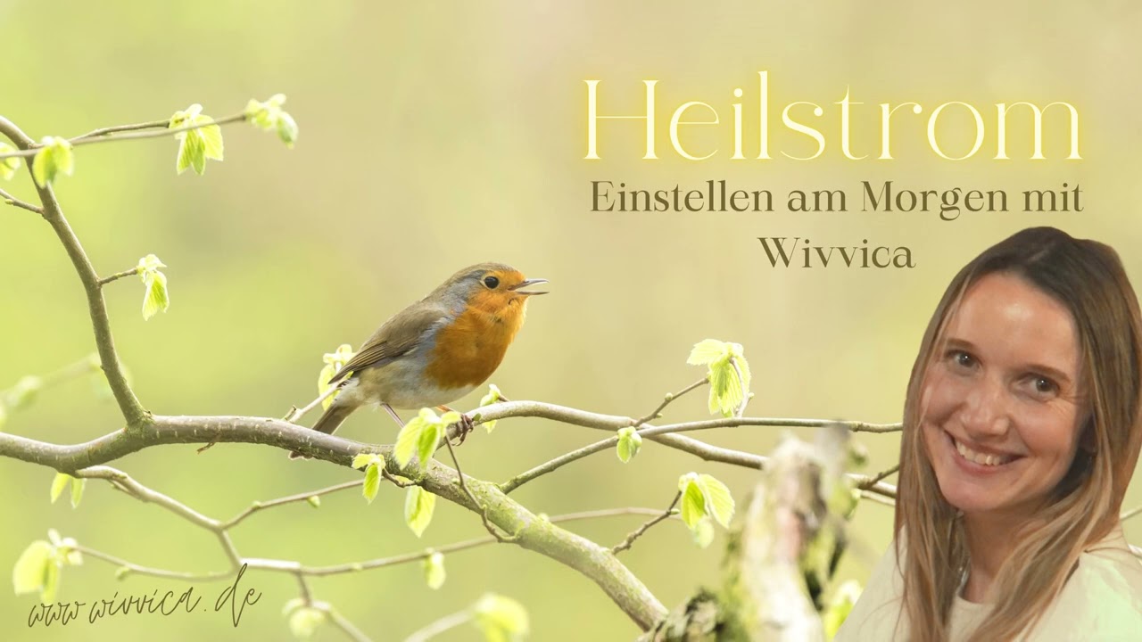 WiVViCA - Einstellen am Morgen - Energie & Kraft f&uuml;r den Tag - Heilstrom Meditation nach B. Gr&ouml;ning