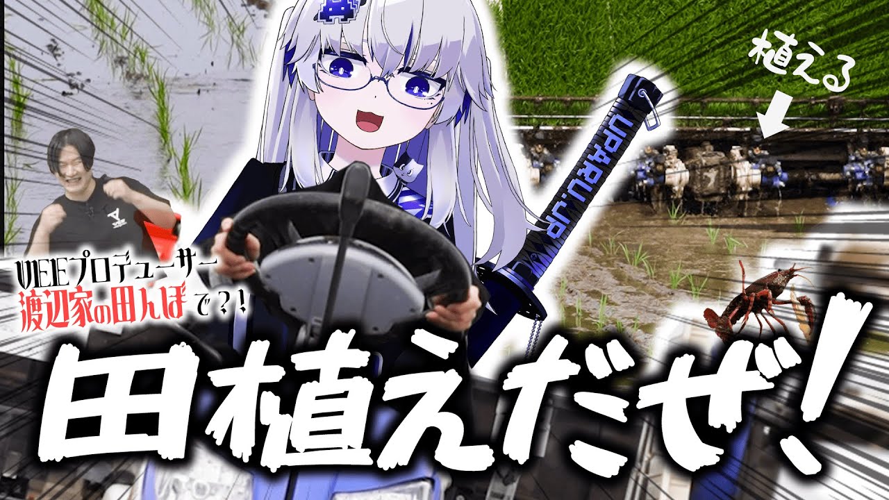 【やっぱり米】まさかの『田植え機』で田植え体験をしてきた件！【VEE/亞生うぱる】