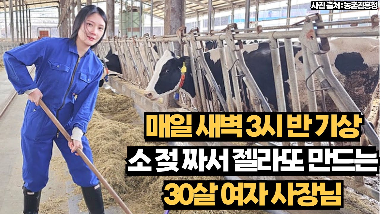 매일 새벽 3시 30분에 일어나 소젖 짜는 30살 여자 사장님