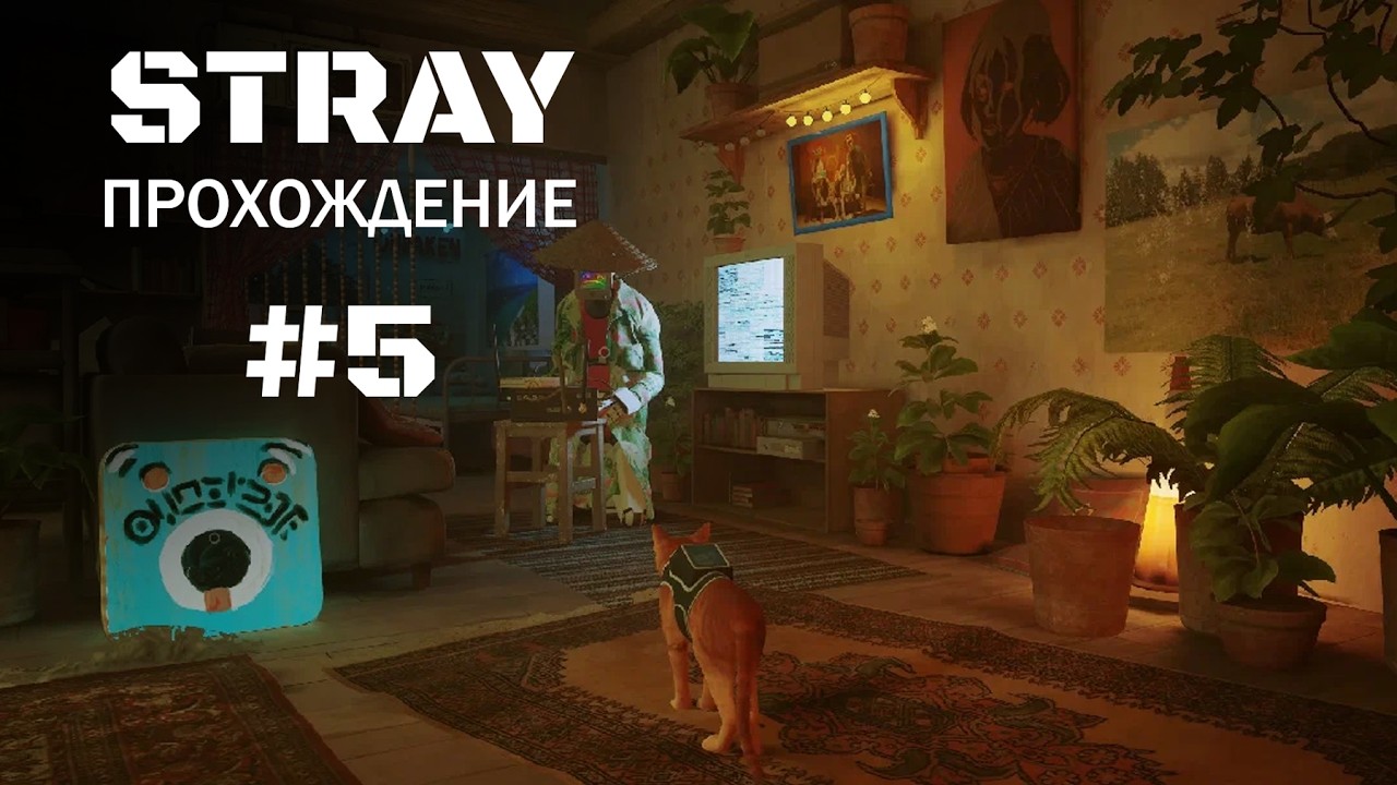 STRAY: Прохождение [#5]