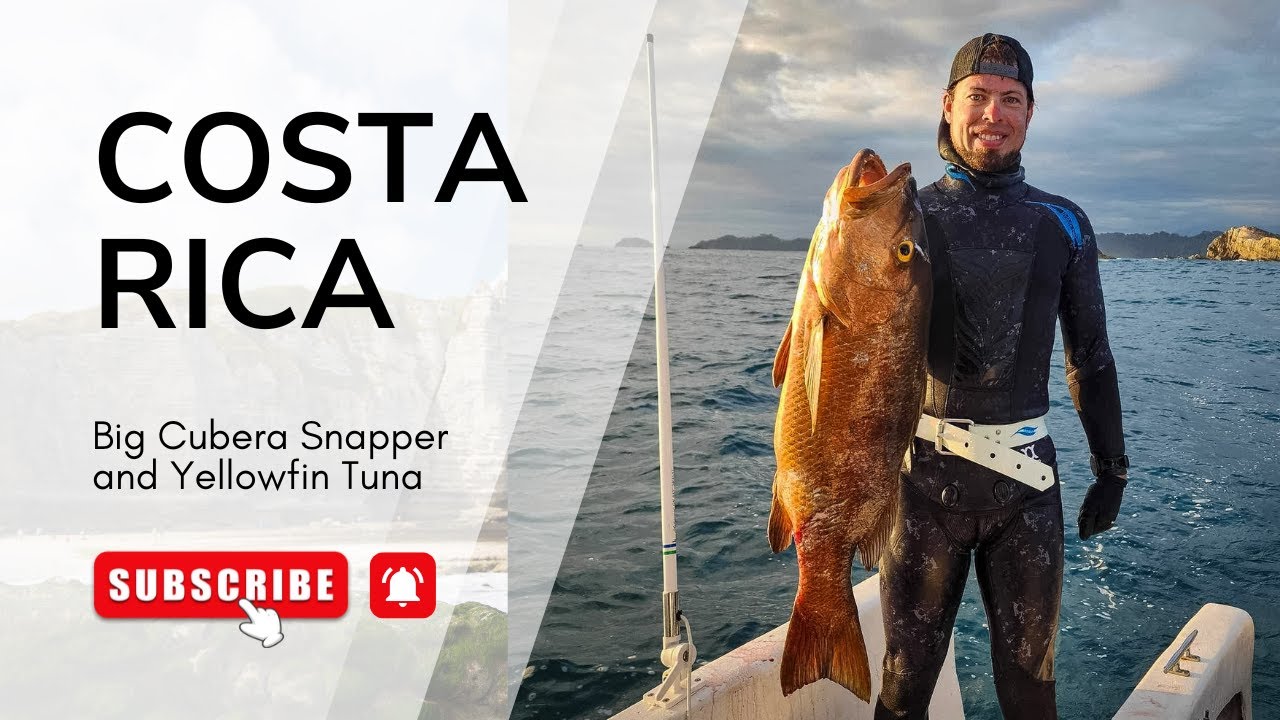 Costa Rica Spearfishing - Big Cubera Snapper and Schools of Yellowfin Tuna!