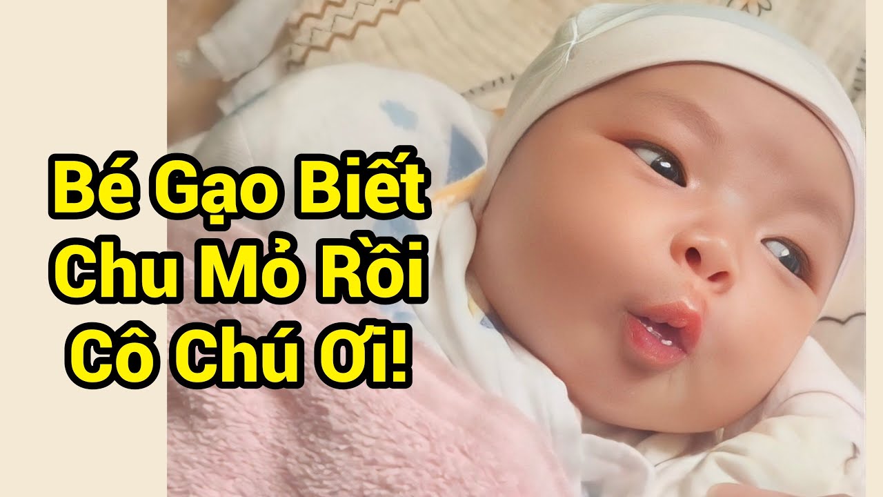 Bé Gạo Biết Làm Duyên Rồi Cô Chú Ơi!