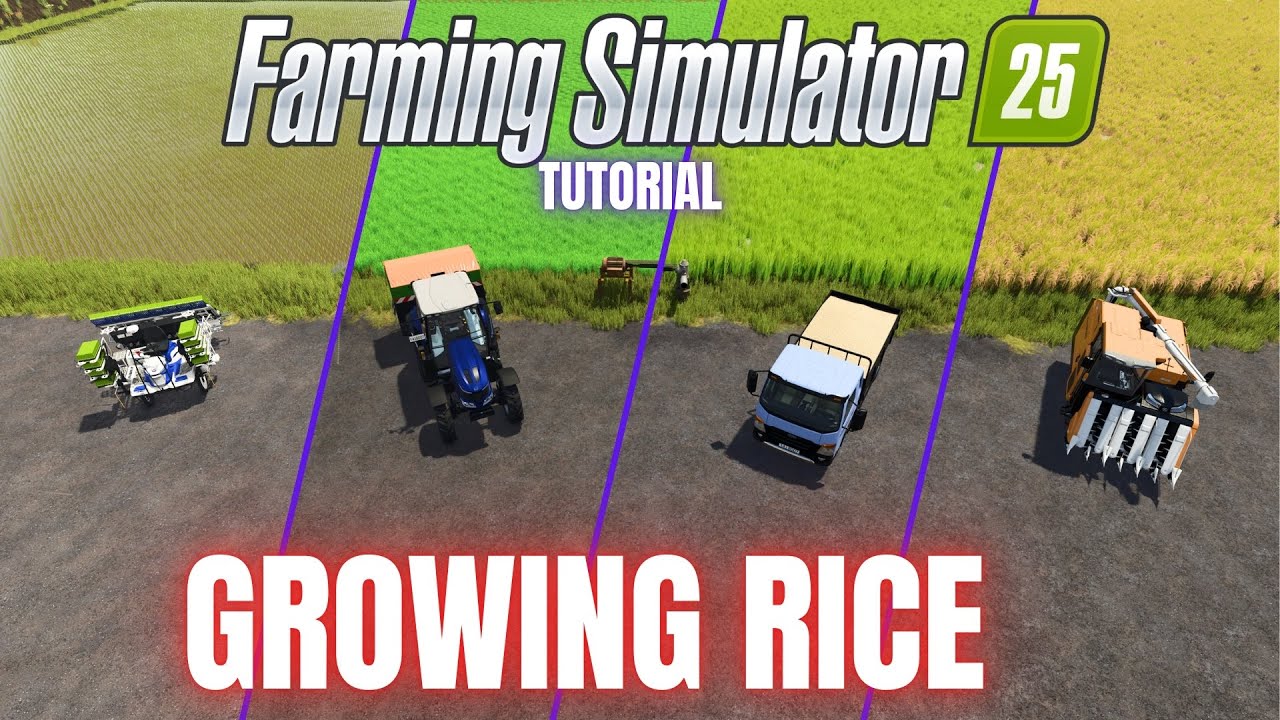 ВЫРАЩИВАНИЕ РИСА — ОБУЧЕНИЕ — Farming Simulator 25