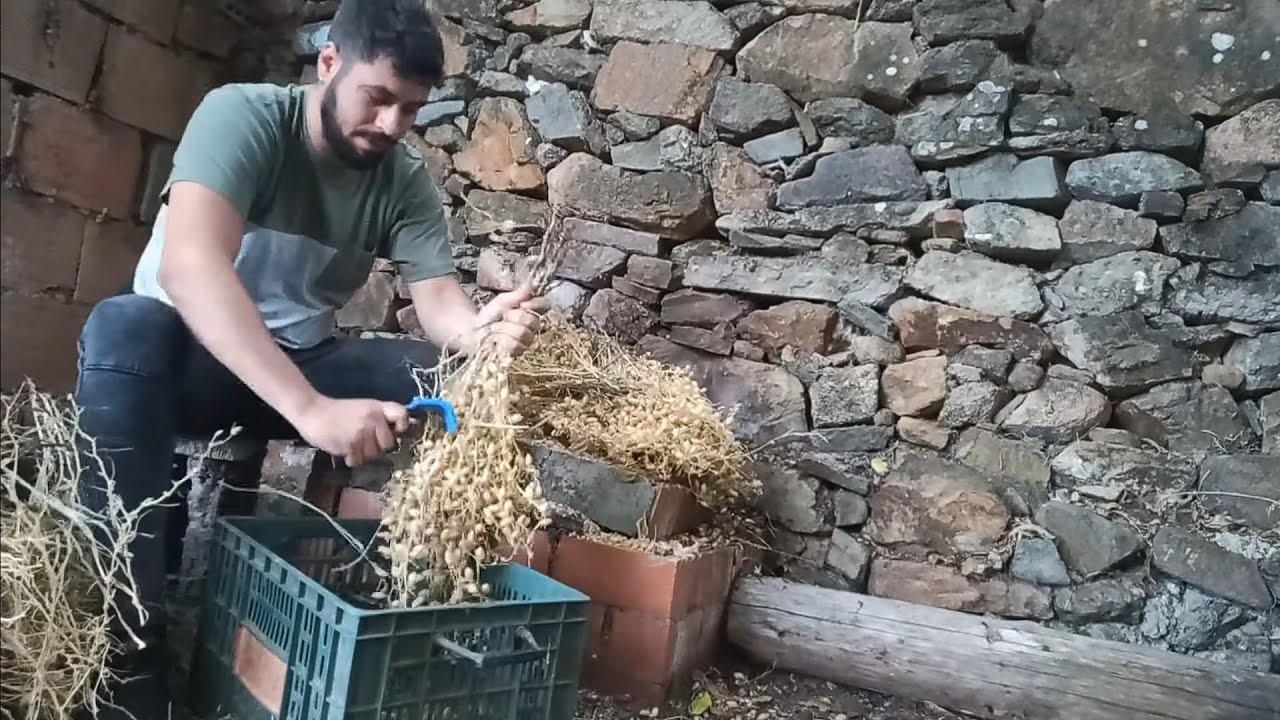 Sacamos los garbanzos del JAZ + Hoy despedimos con Feli
