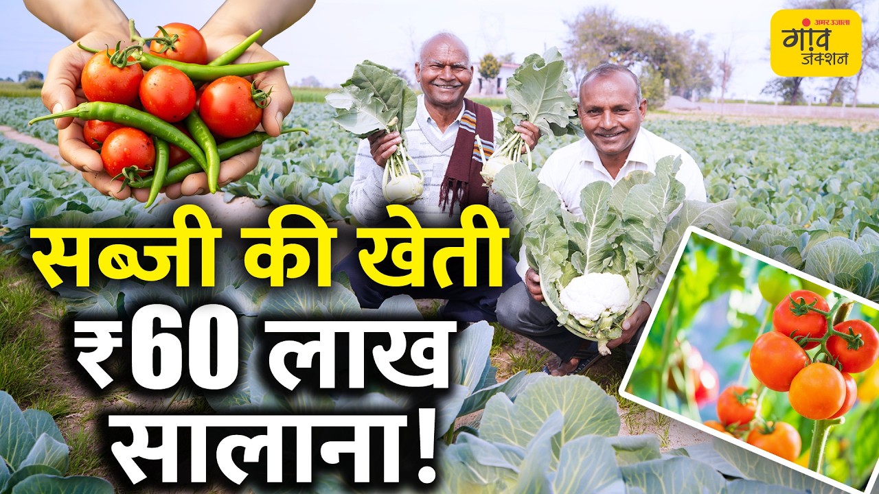 पारंपरिक खेती छोड़ अपनाया ये मॉडल, 12 महीने चलने वाली खेती जानकर हो जाएंगे हैरान Gaon Junction LIVE