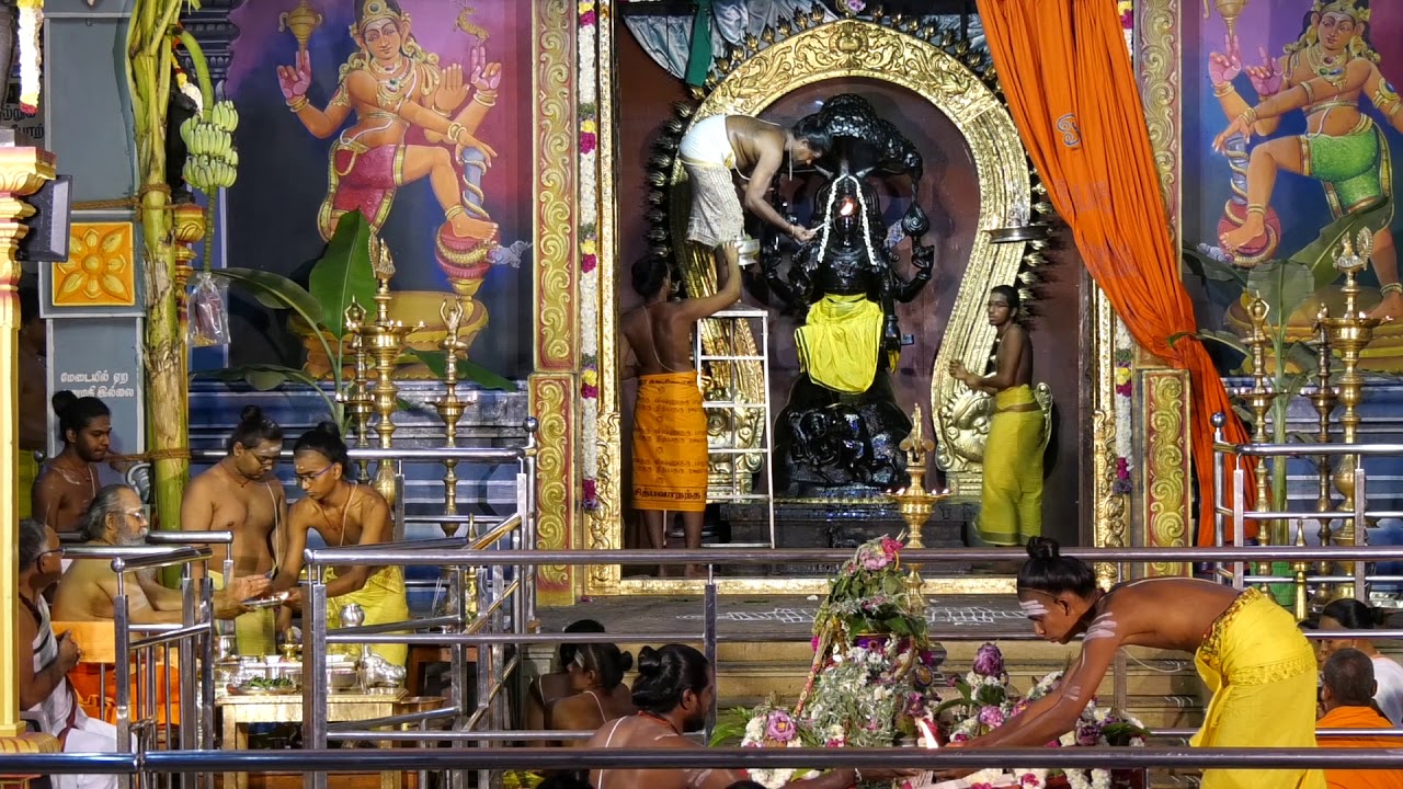 Sri Rudram Laghunyasam