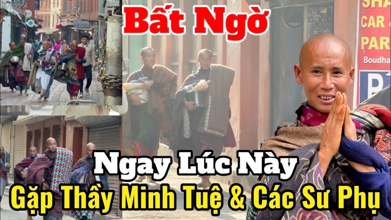 Bất Ngờ Gặp Thầy Minh Tuệ & Các Sư Phụ Ngay Lúc Này Tin Tức Mới Nhất 15/3 #thayminhtue #thienchiukho