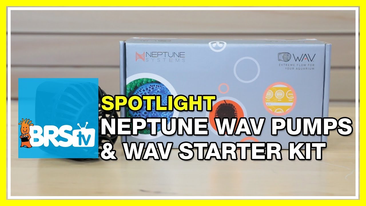 Optimized flow in your tank with the Neptune WAV pump | BRStv Spotlight