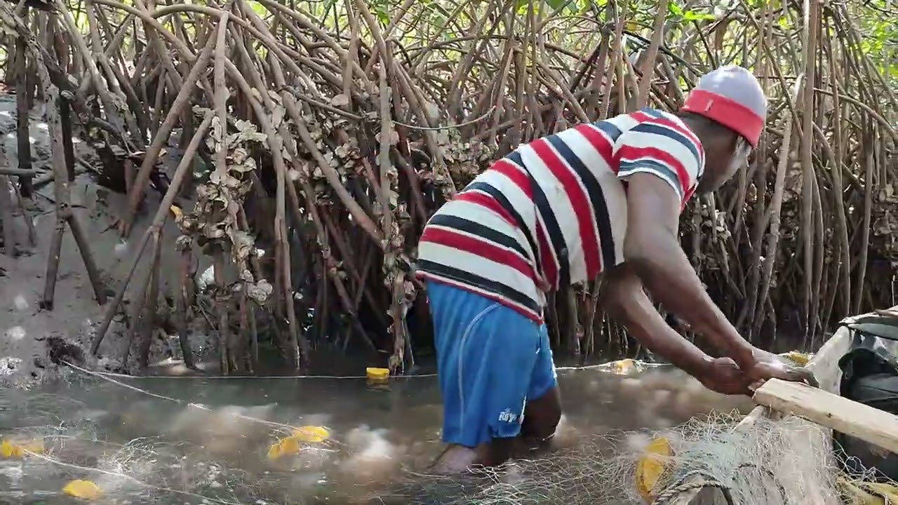 DIEMBERING EN PIROGUE