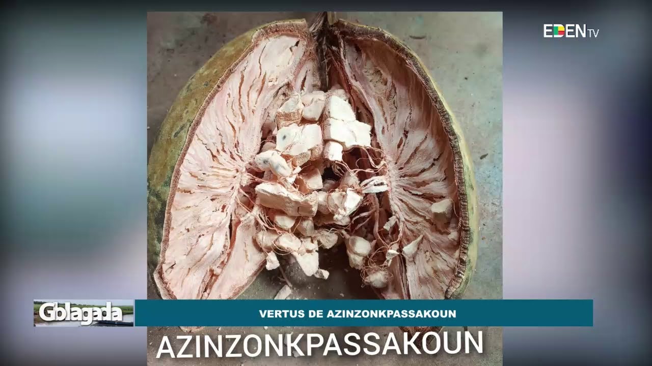 Les vertus de AZINZONKPASSAKOUN | Nuyendévo