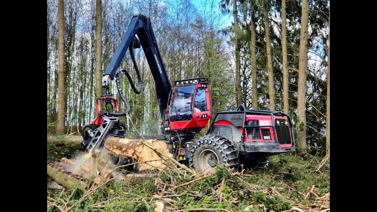 🌲*BIG TREES* • Heavy Komatsu • Komatsu 951 & C164 • HarvesterAction • Forst Stöppler • Fast working🌲