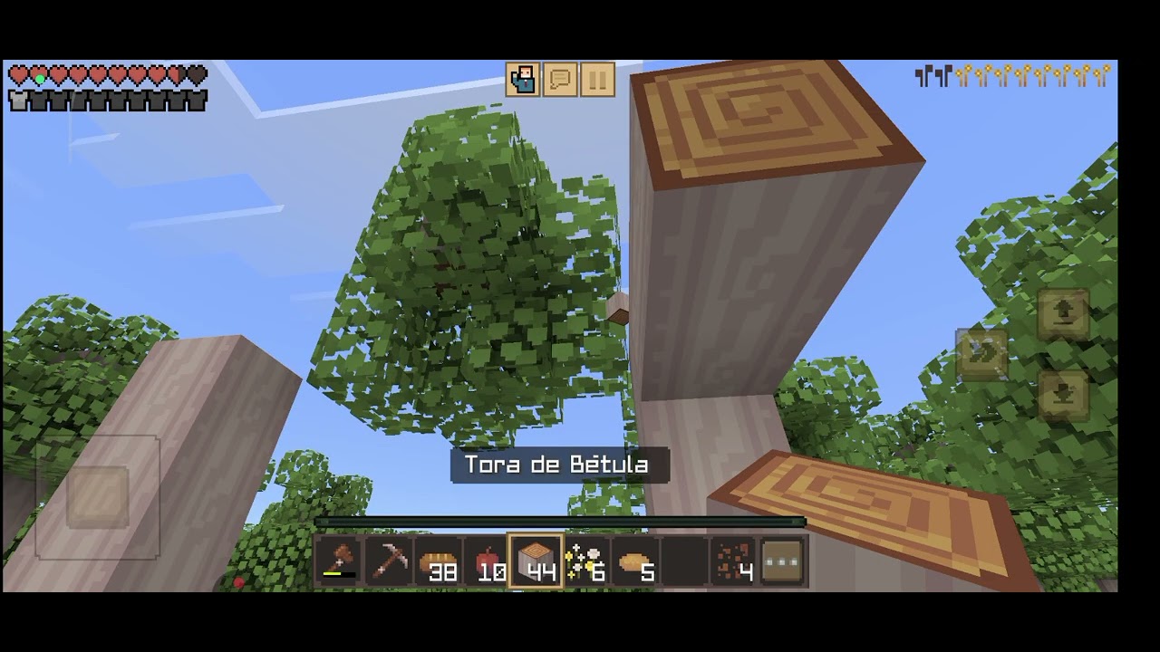 Eu jóquei Minecraft Em sovavio viz um casa linda 
