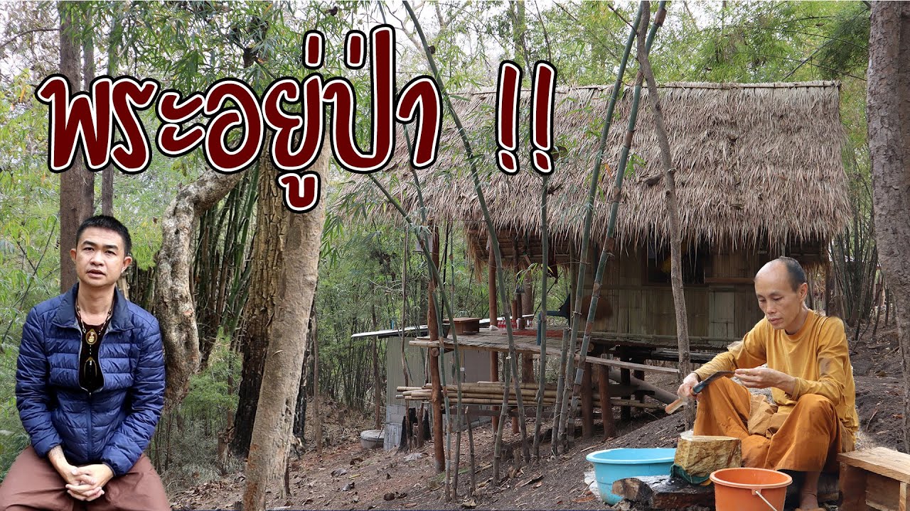 พระอาศัยอยู่กุฎิในป่า ของวัด | MEซะป๊ะ