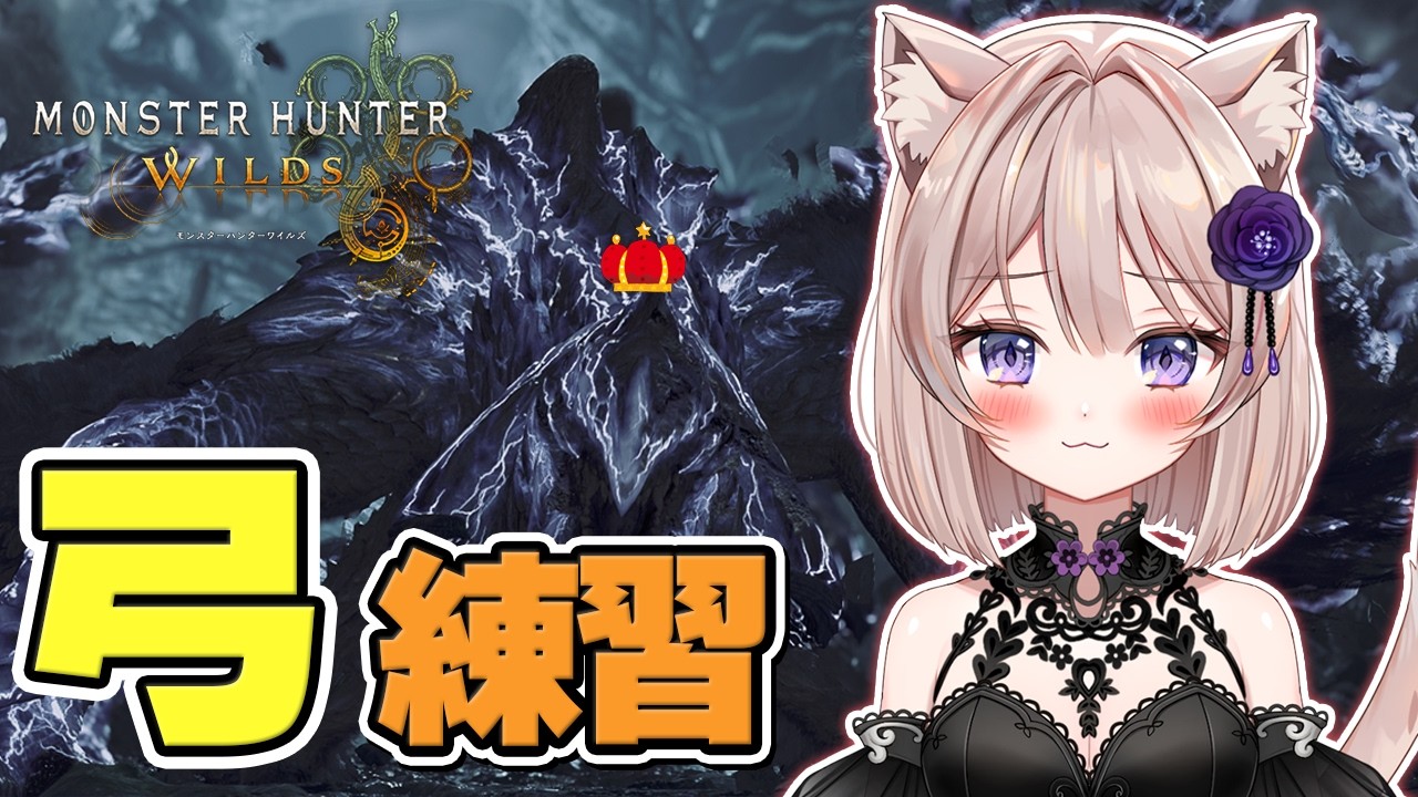 #234【モンハンワイルズ Steam版】参加型  力尽きるまで弓練習