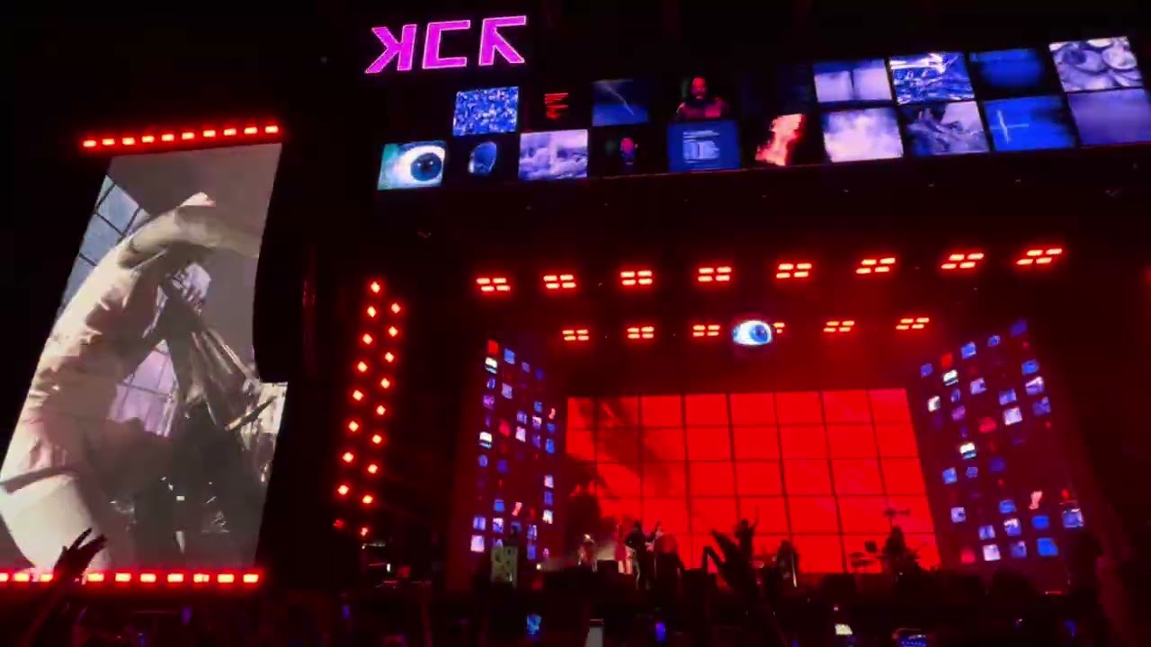 My Chemical Romance (8)