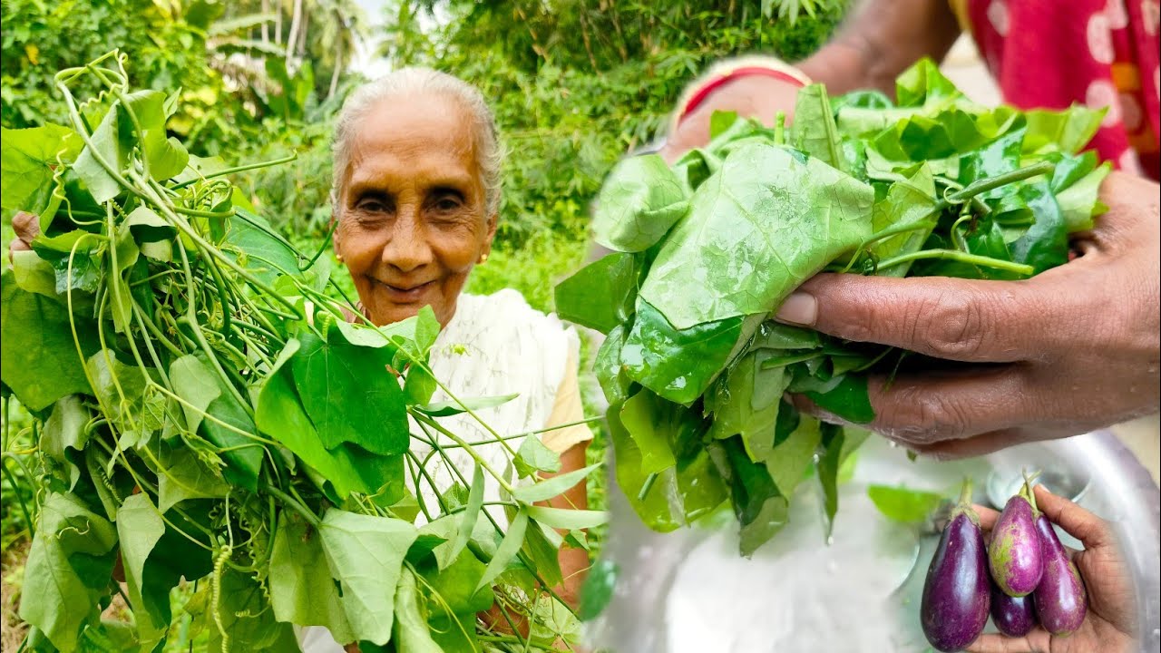 এখনকার দিনে প্রায় হারিয়ে যাওয়া একটি পাতা দিয়ে ঠাকুমা অসাধারন রান্না করে দেখালো।Bengali Recipe