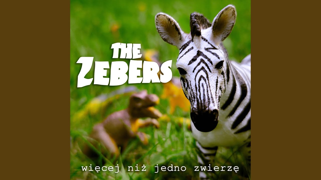 Zebra Majorska