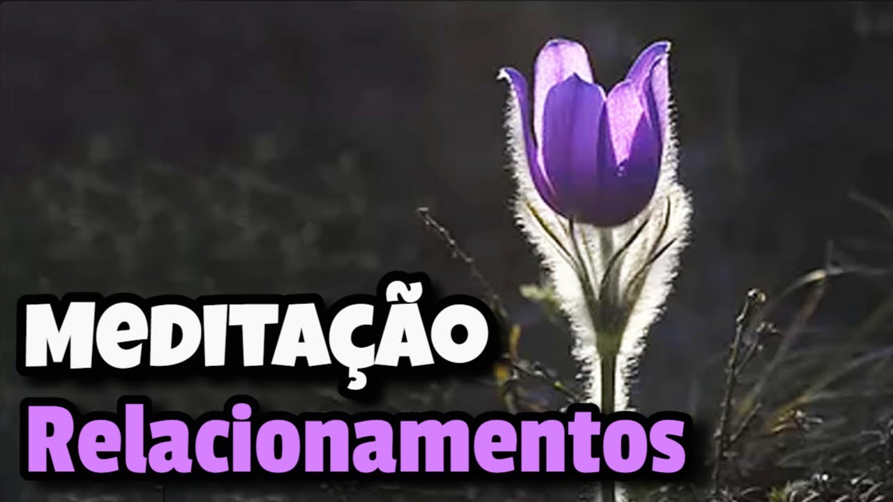 Relacionamentos 🌷 Cura Ativa&ccedil;&atilde;o Medita&ccedil;&atilde;o