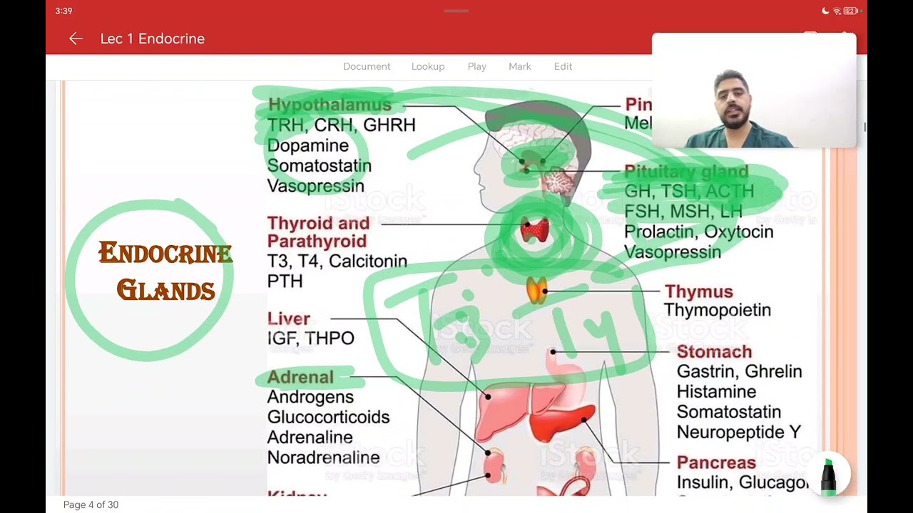 Endocrinology lec1 (طب المستنصرية)