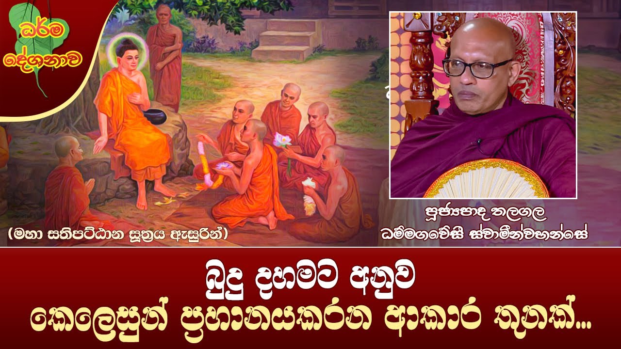 Ven Thalagala Dhammagaweshi Thero | 2024-02-03 | 12:30 PM (කෙලෙසුන් ප්‍රහානය කරන ආකාර තුනක්...)