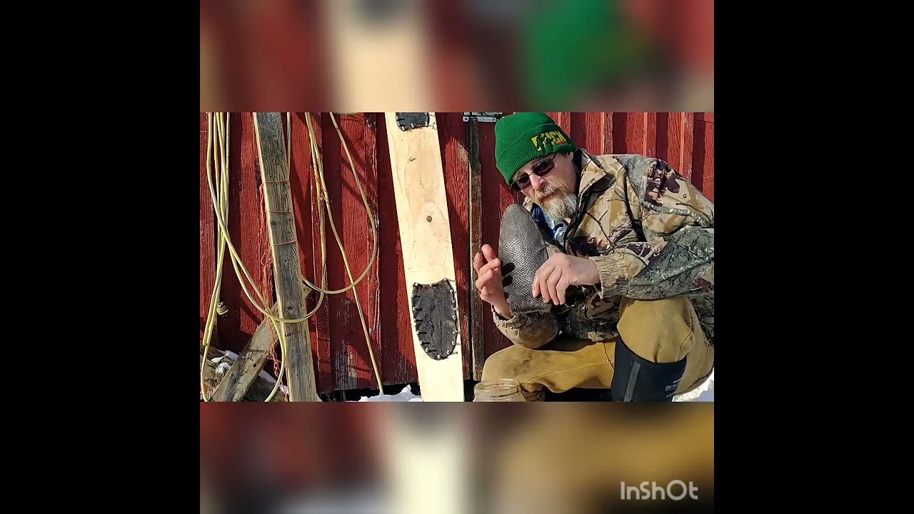 Tanning Beaver tails- simple.