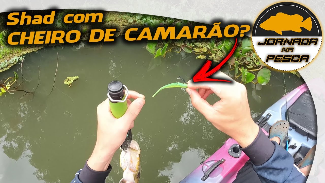 Isso aqui é MELHOR do que ISCA VIVA! Surpreenda-se com uma isca MILAGROSA!