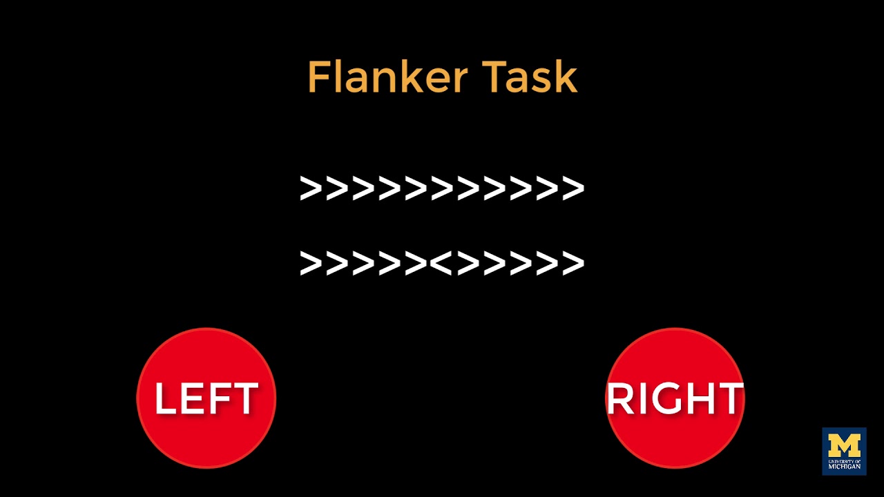 AFNI Tutorial #2: The Flanker Task